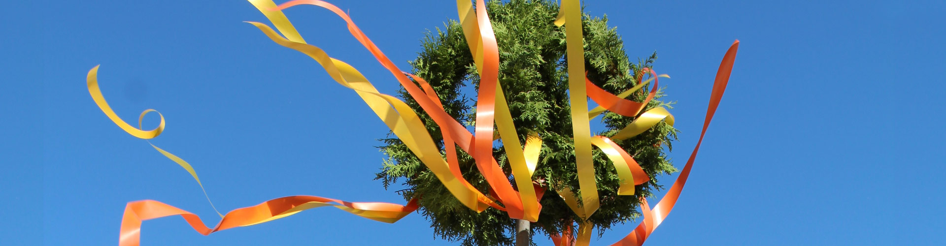 Baubetrieb/ Generalunternehmen